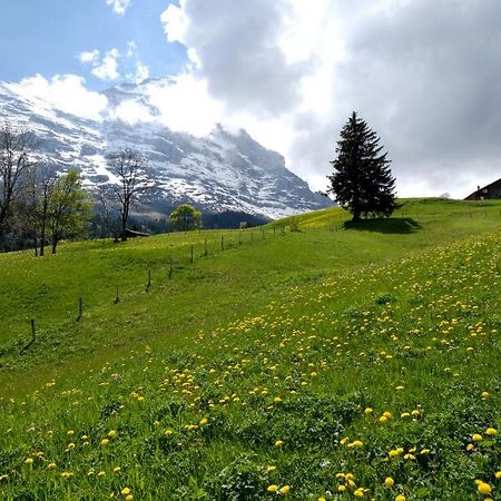 Aspen Alpine Lifestyle Hotel Grindelwald Eksteriør bilde