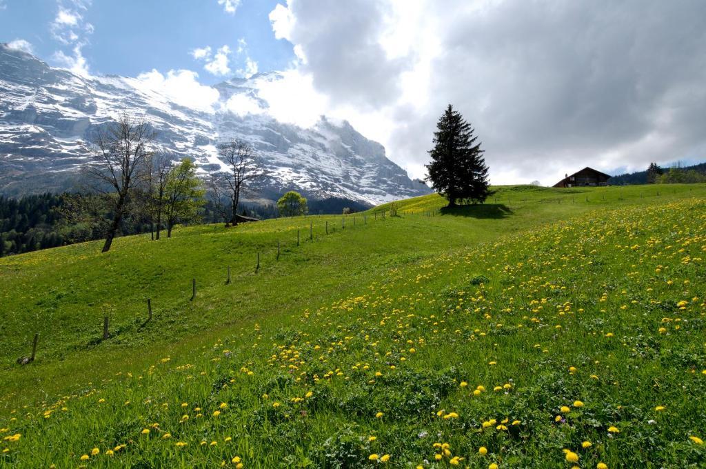 Aspen Alpine Lifestyle Hotel Grindelwald Eksteriør bilde